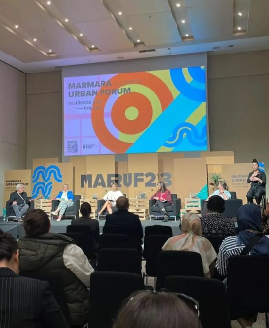 Sustainability and Resilience finance,